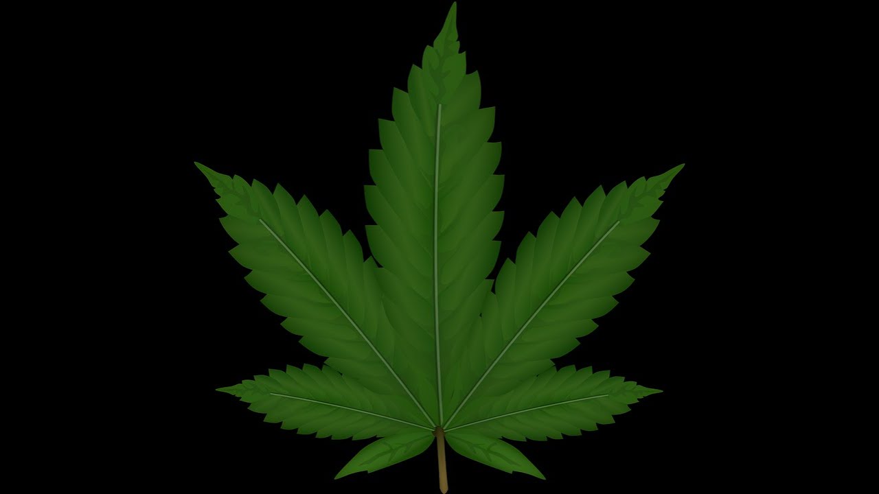Indoor Peach Kush