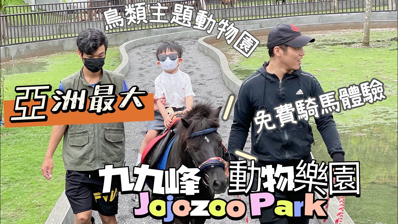南投草屯全新開幕『九九峰動物樂園』來了！！