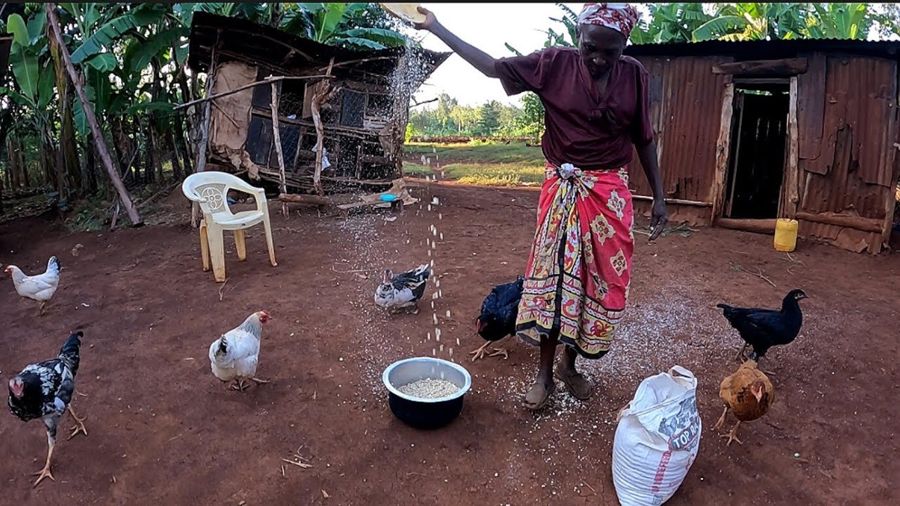 Raw Morning Routine of a True African Traditional Village // African village life
