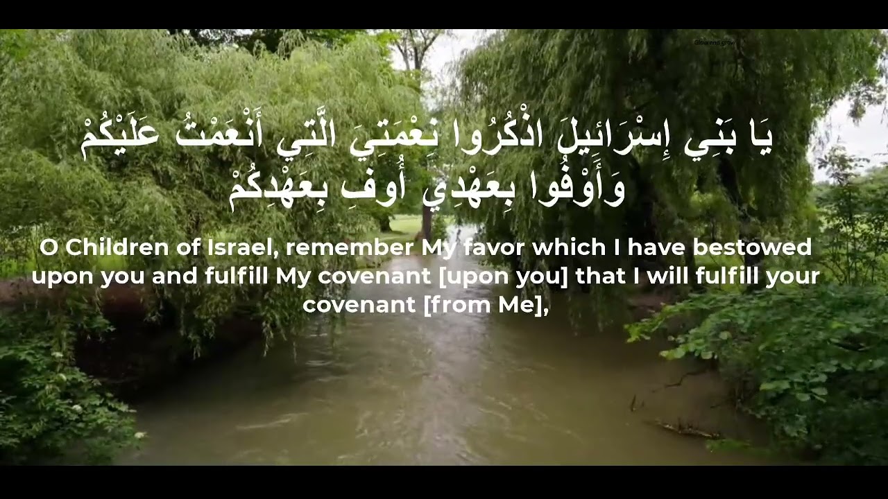  Surah Al-Baqarah (Arabic + English)Relaxing Nature Sounds for Peace with Mishary Rashid Alafasy