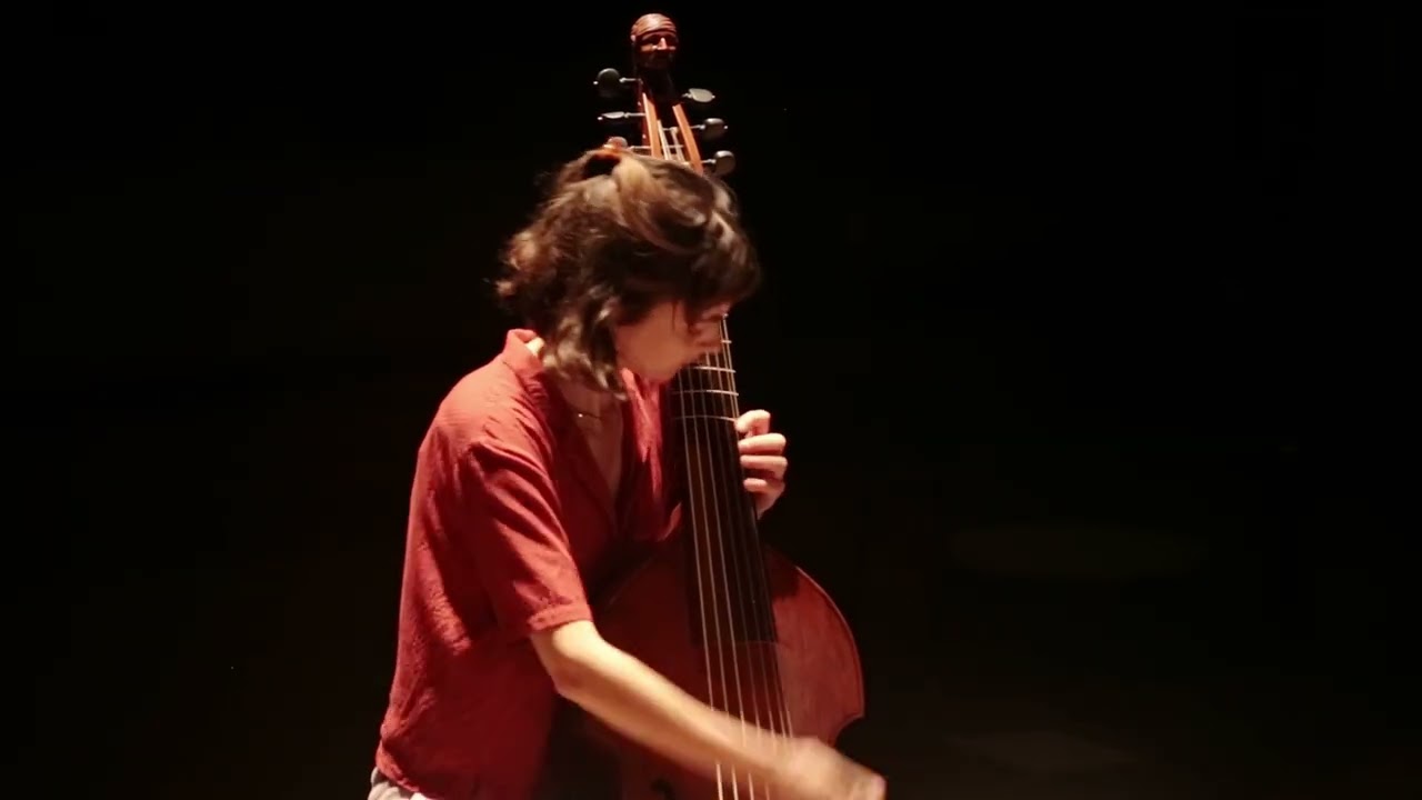 Passacaille, Biber (transcription for viola da gamba) - Juliette Guichard