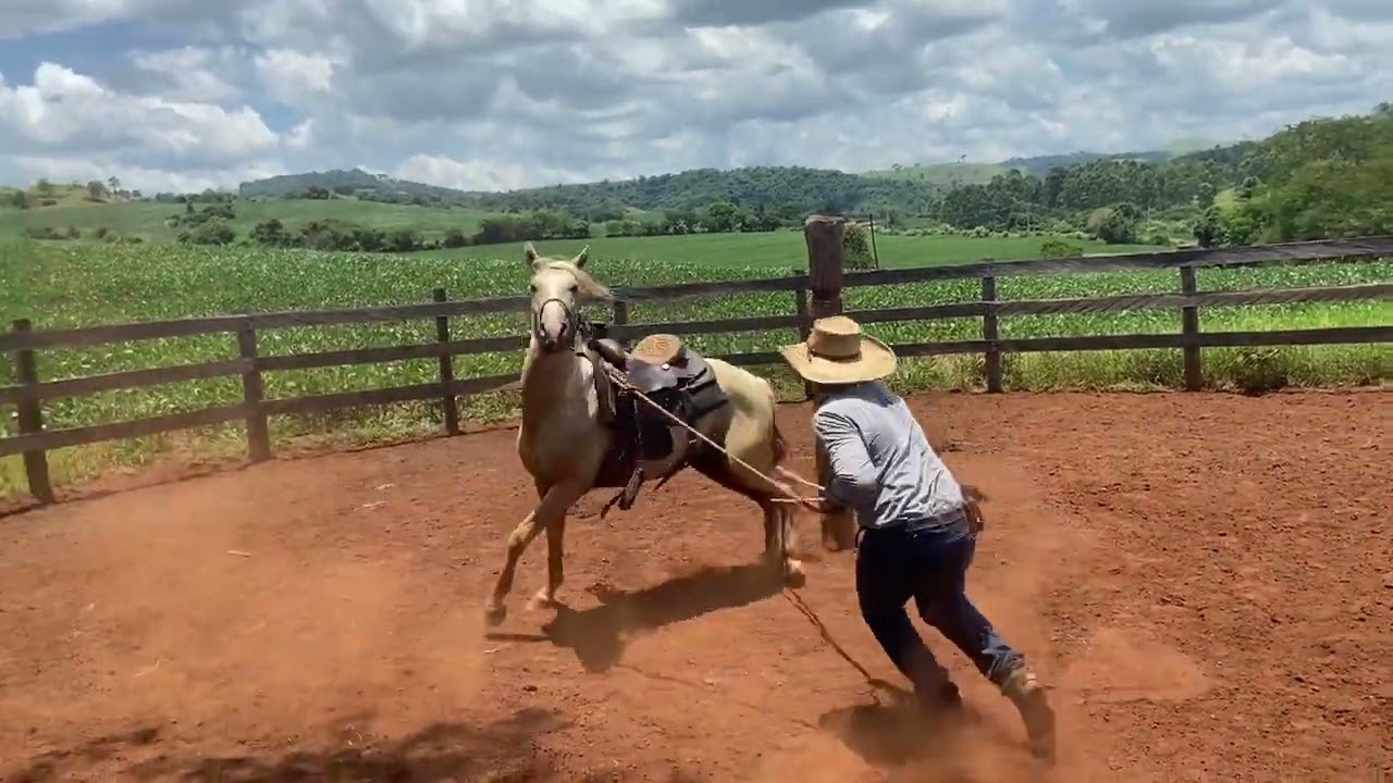 Dicas para iniciar um potro 🐎🤠 👏👏👏#doma #domador #dicas