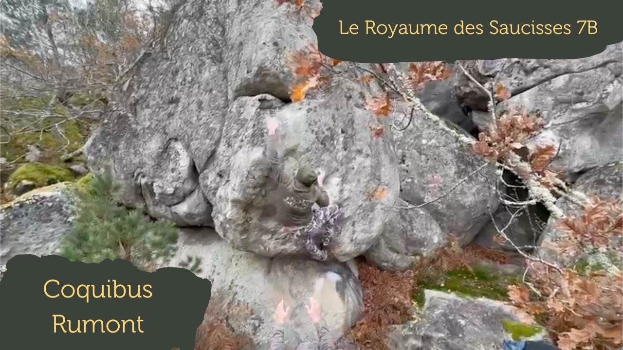Le Royaume des Saucisses 7B / Coquibus Rumont / Fontainebleau