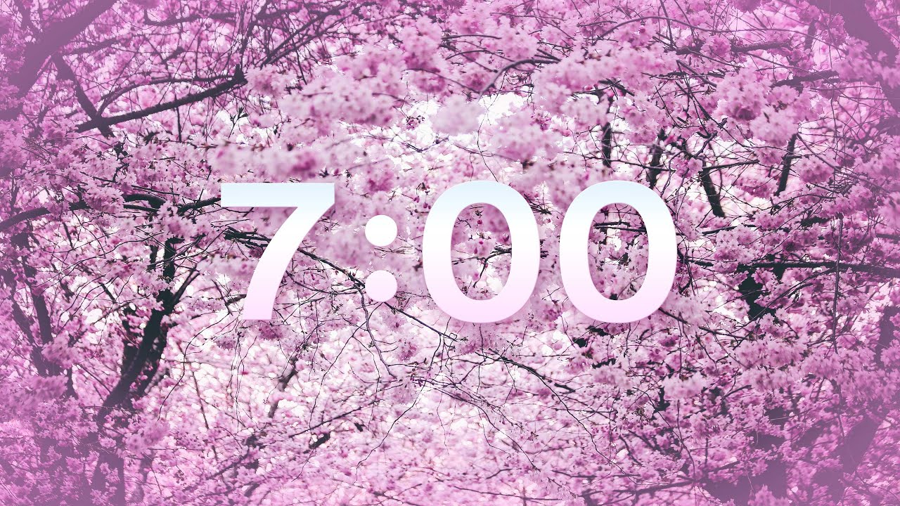 SPRING 7 MIN TIMER