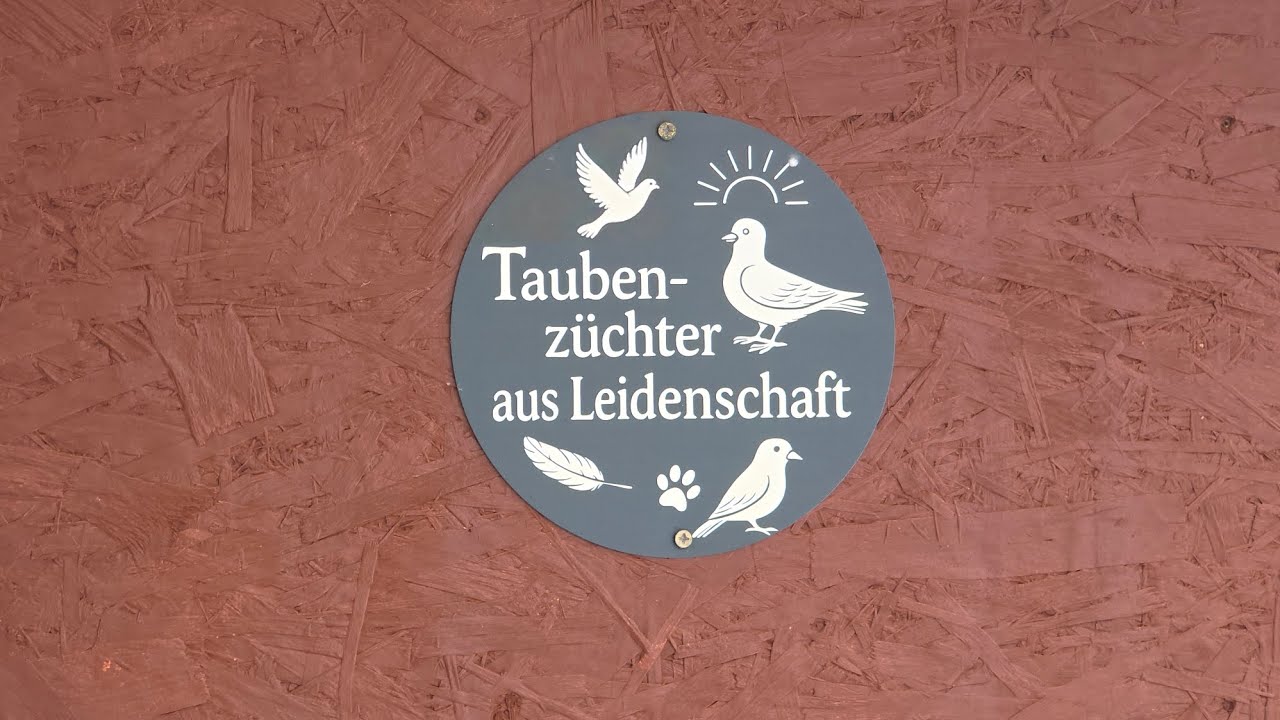 Taubenschlag Umbau 11.01.26
