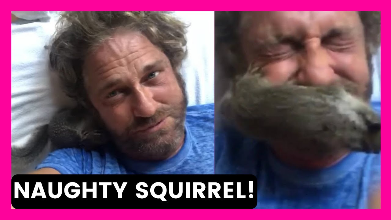 Gerard Butler | NAUGHTY SQUIRREL having a go at Gerry-So funny!