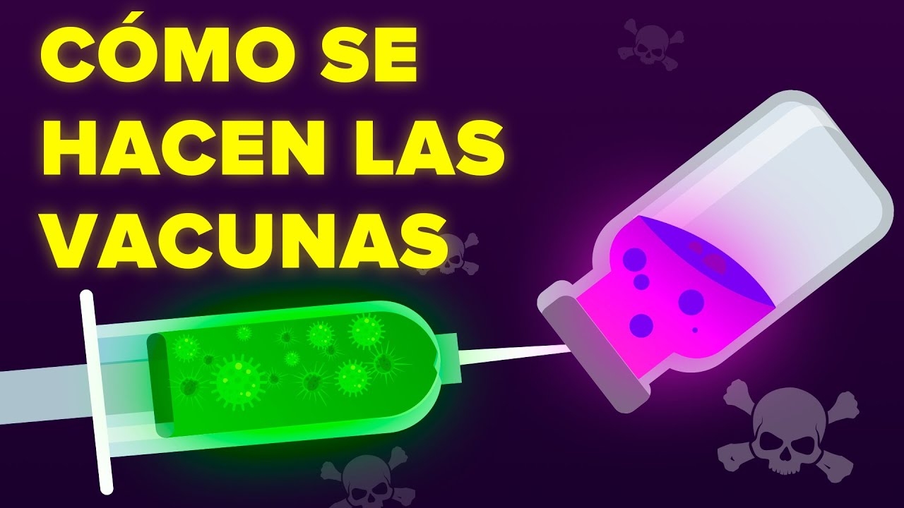 Cómo se hacen las vacunas en realidad