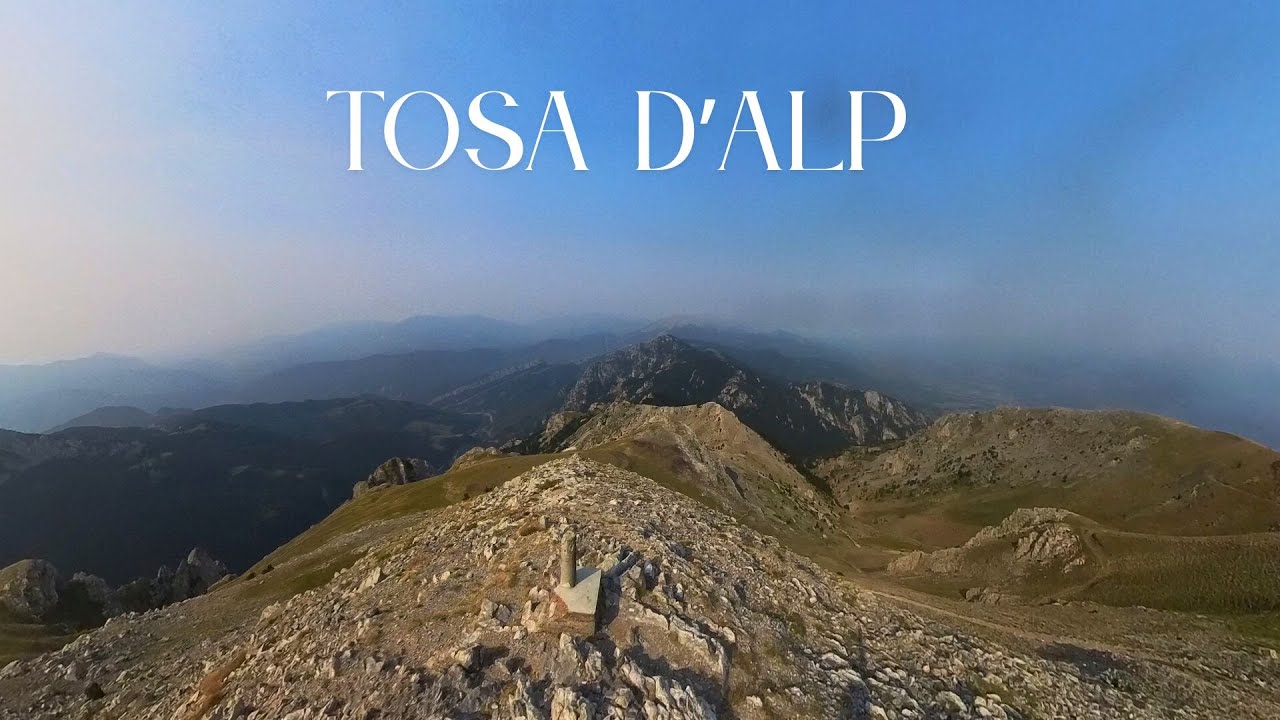 Tosa d'Alp
