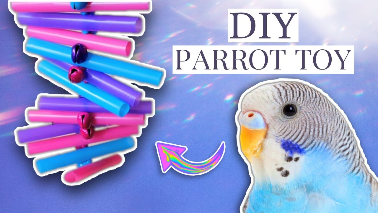 How To Make Budgie TOYS | DIY Under $5