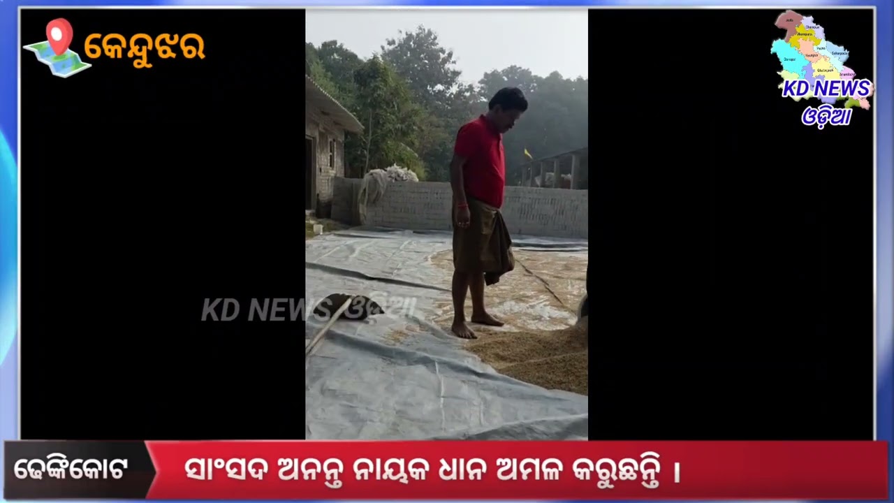 ସାଂସଦ ଅନନ୍ତ ନାୟକ ଧାନ ଅମଳ କରୁଛନ୍ତି ।