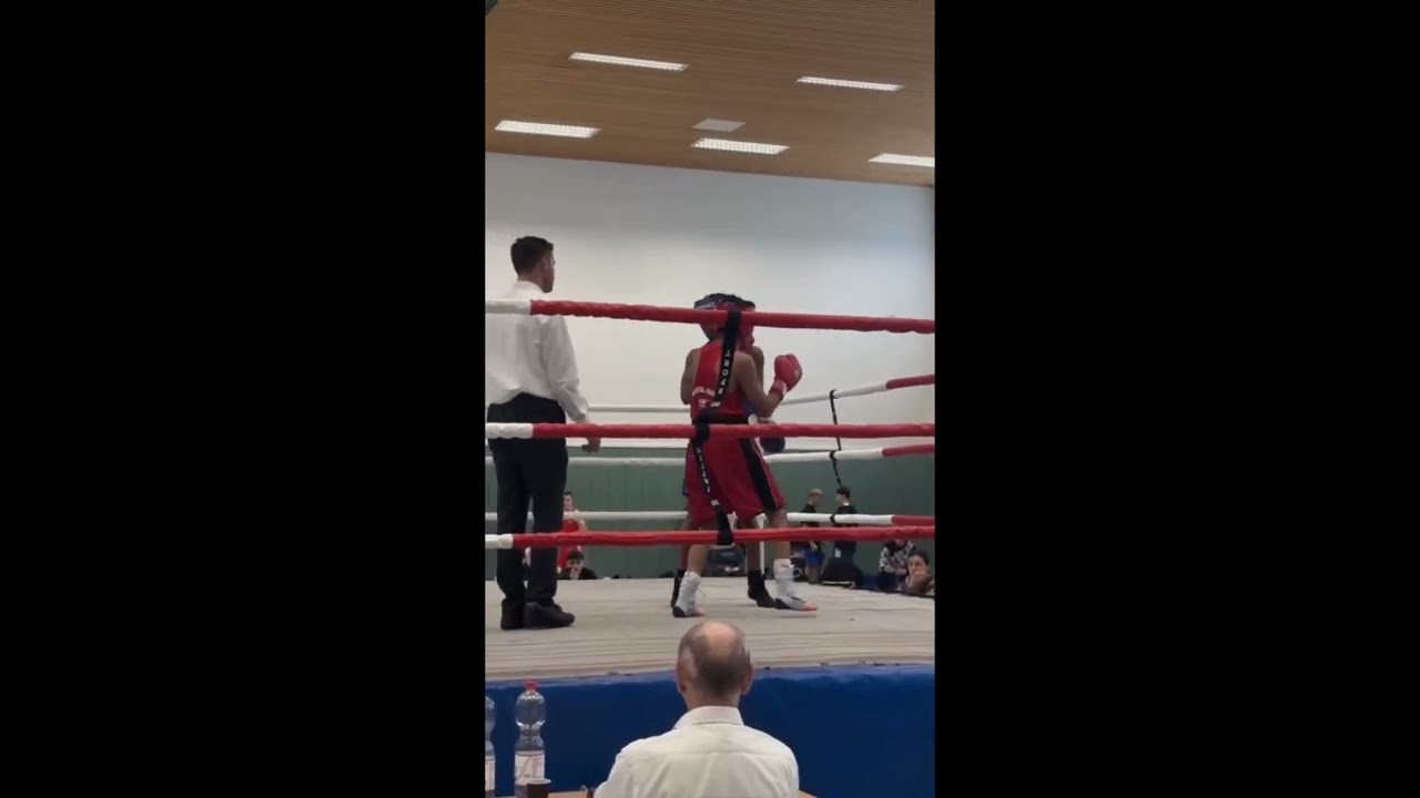 Boxen Potsdam 16.11. und 17.11.24