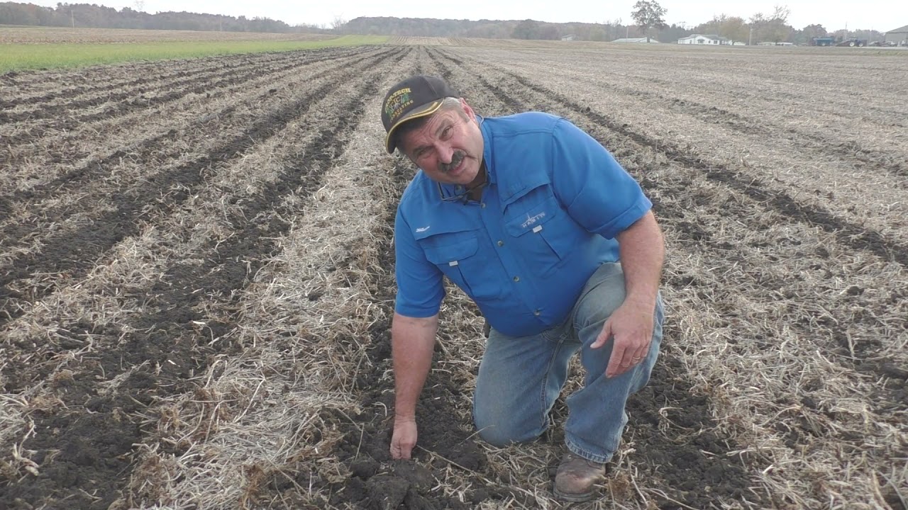 Strip-Till Tips for Success