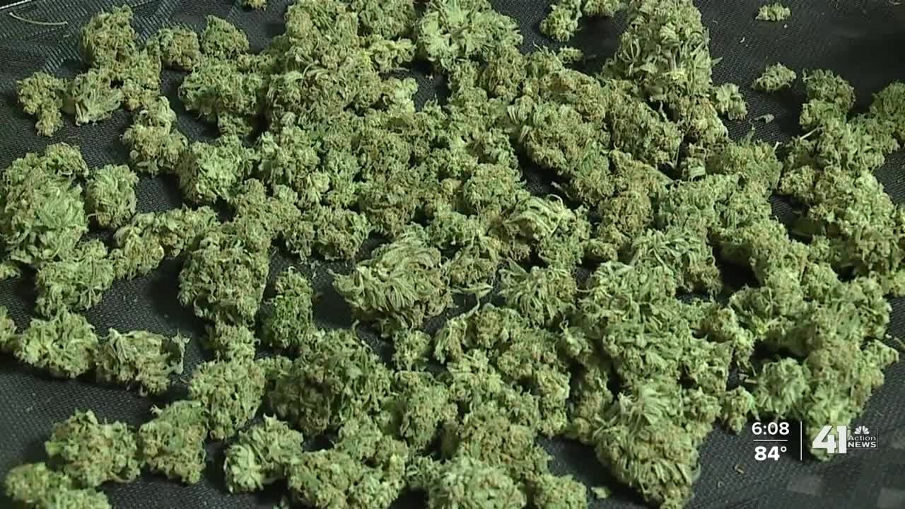 A look inside MO medical marijuana growing facility, testing lab