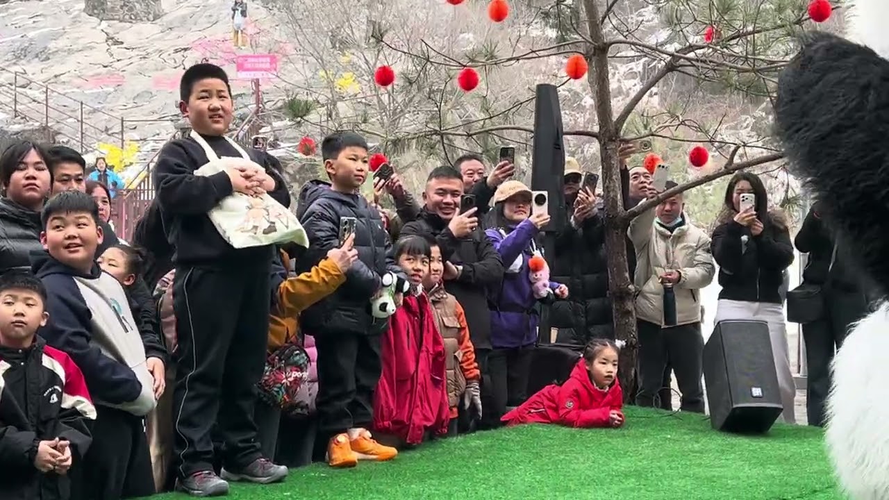 中国功夫国宝大熊猫壁山风景区实力演出#中国功夫#中国国宝大熊猫#功夫熊猫#中国非遗