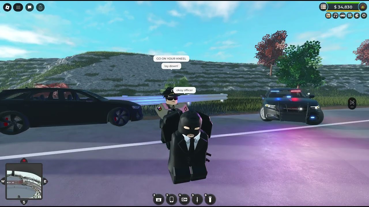 Bank Robbery in Emergency Response: Liberty County (part 1)