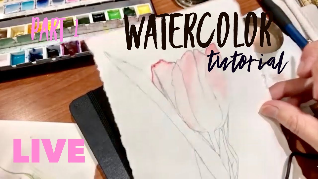p1 Live watercolor tutorial -tulip 🌷 Botanical Art Part one