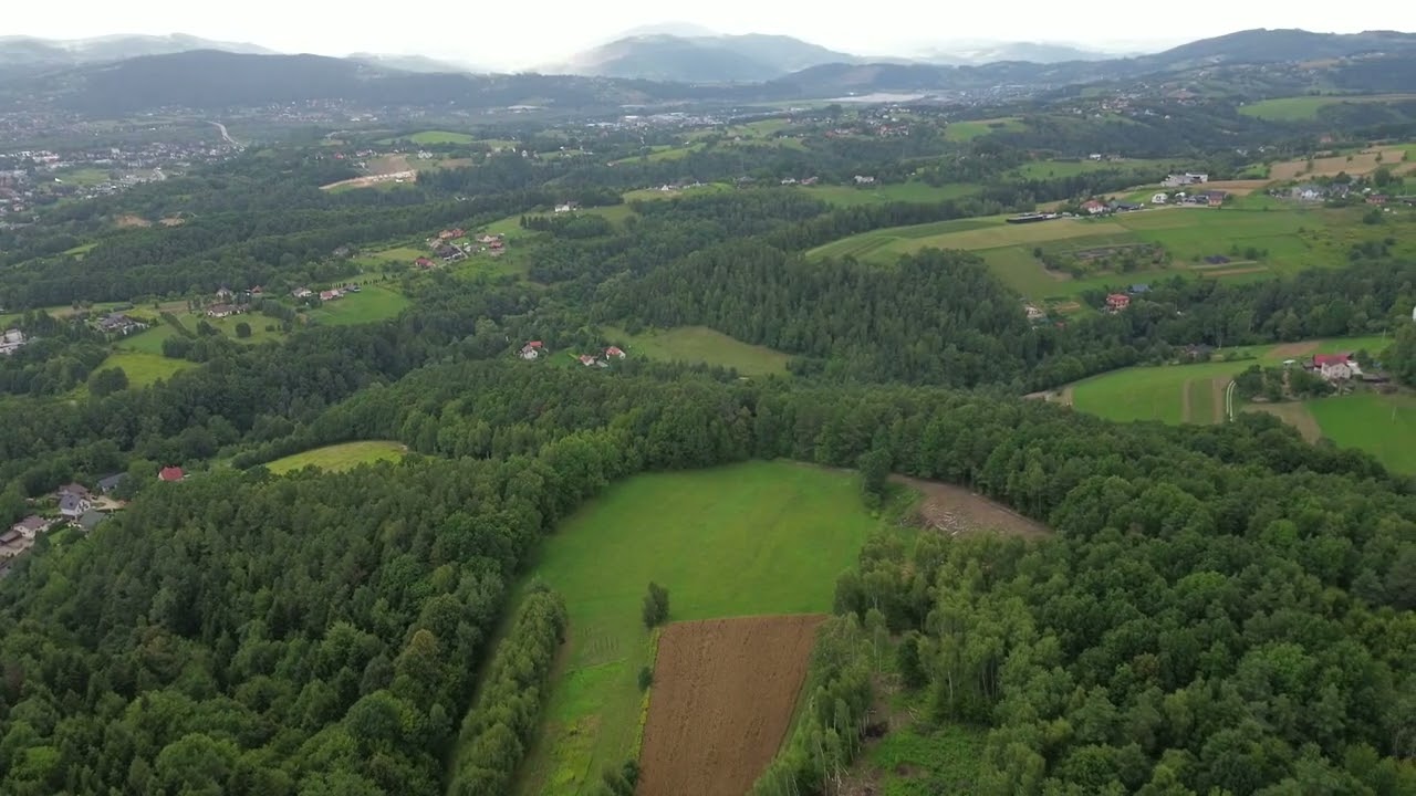 2025 08 05 spacer na Przekaźnik