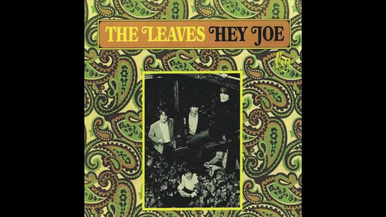 The Leaves - Too Many People