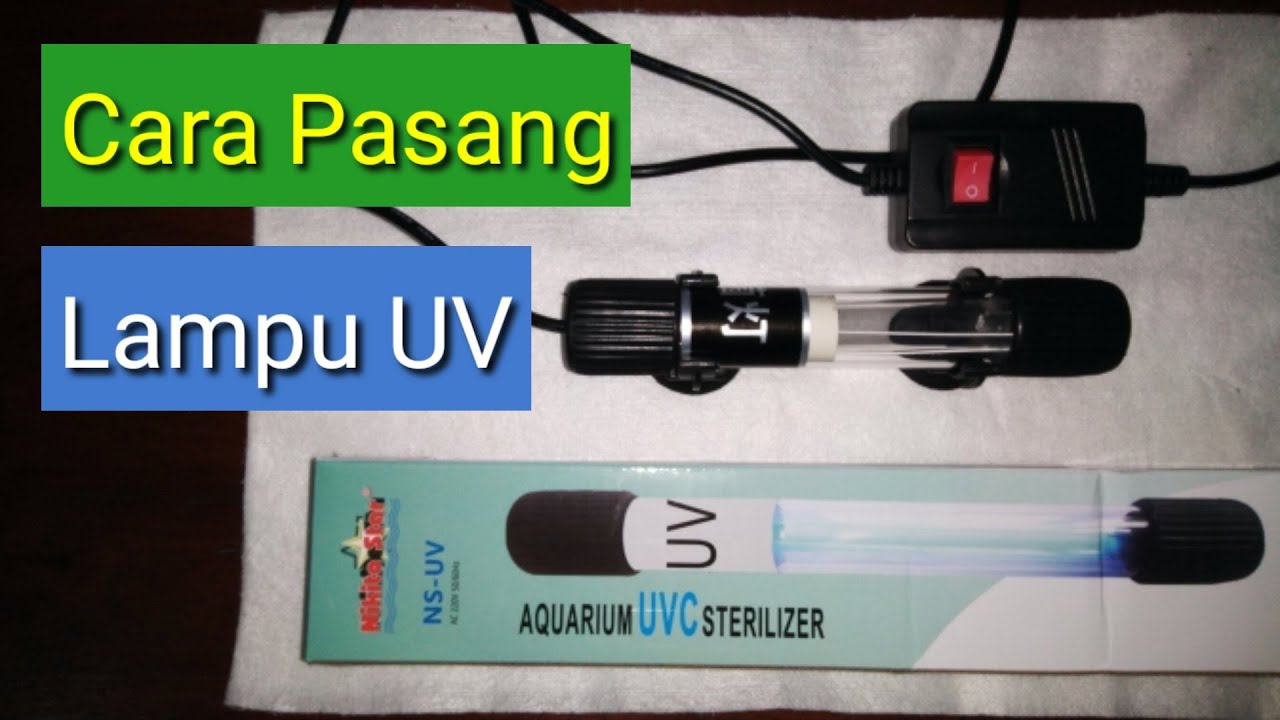 Review & Cara Pasang Lampu UV Pada Aquarium