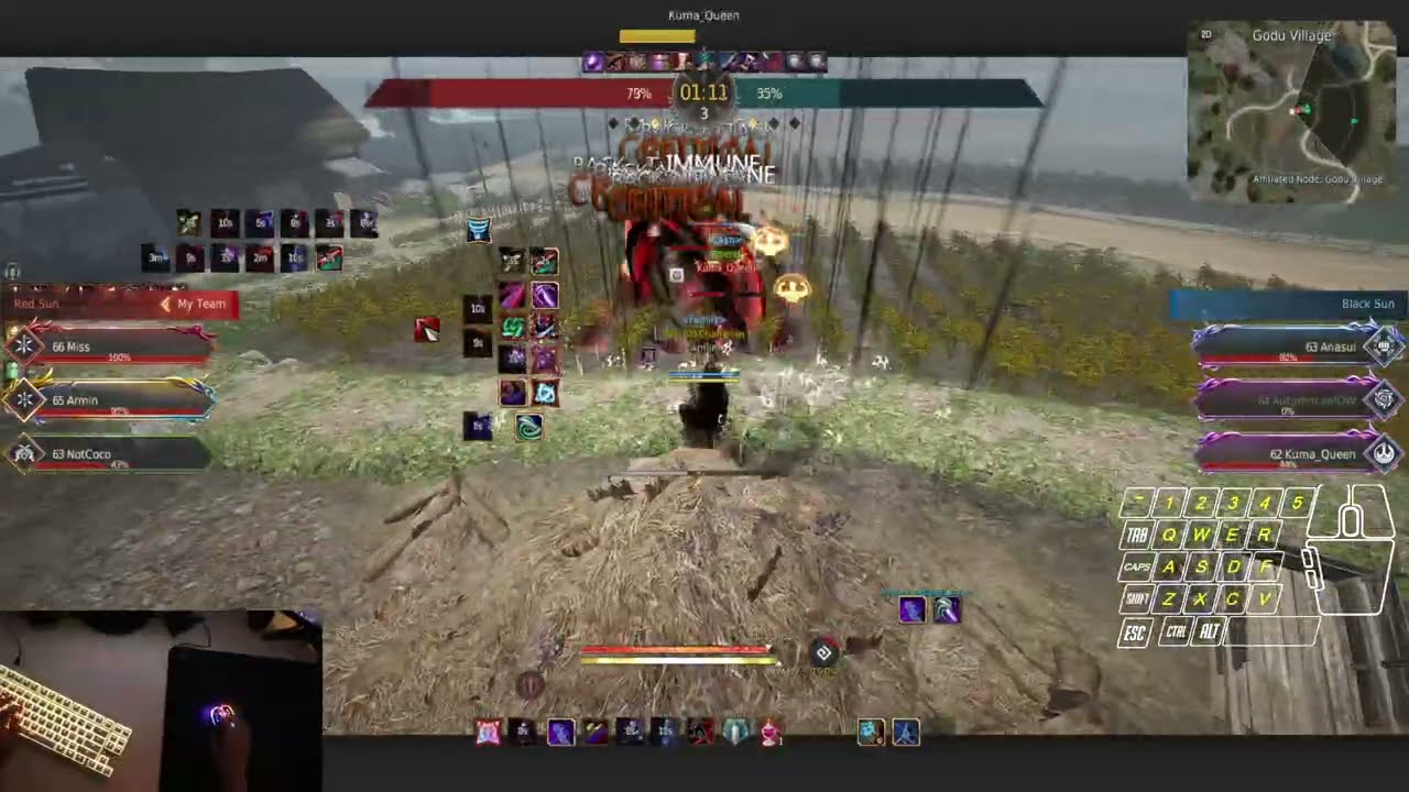 Black Desert Arena of Solare - Succession Mystic 1v3 NSC Customs
