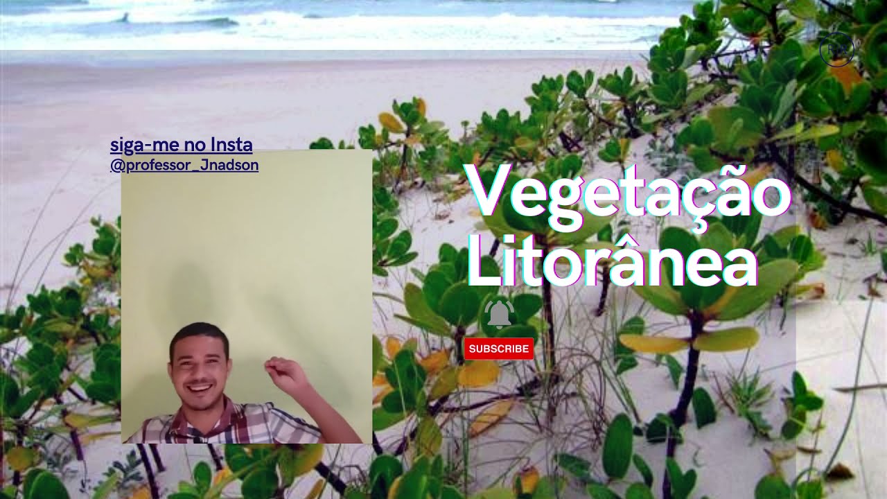 CURIOSIDADES E CARACTERISTICAS DAS VEGETA&Ccedil;&Otilde;ES LITOR&Acirc;NEAS