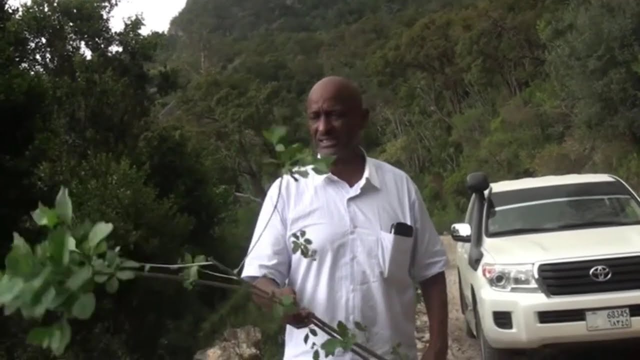 Safarkii Aan Ku Tagay Jidka Tabca 50 Sano Kadib Markii Baabuur Igala Dhacay