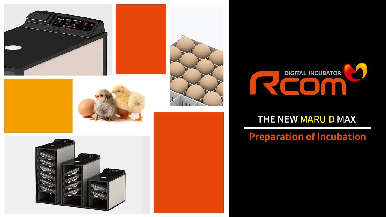 Rcom MARU D incubator - Preparation of incubation