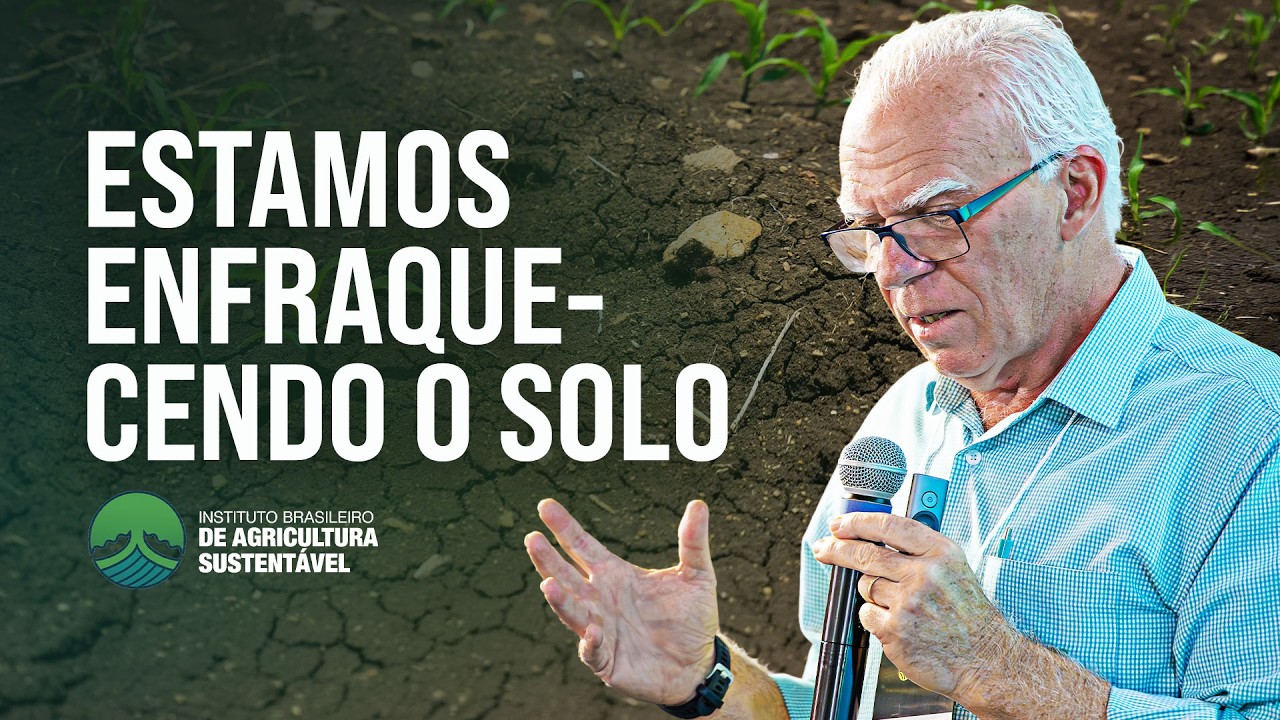 RELAÇÃO CAUSA E EFEITO - AGRICULTURA MODERNA