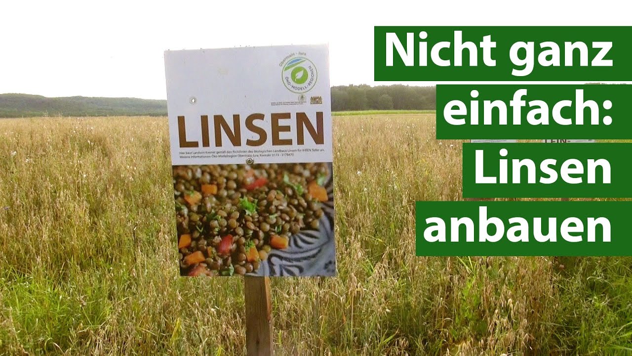 Challenge Landwirtschaft: Bio-Landwirt baut Linsen an | Unser Land | BR