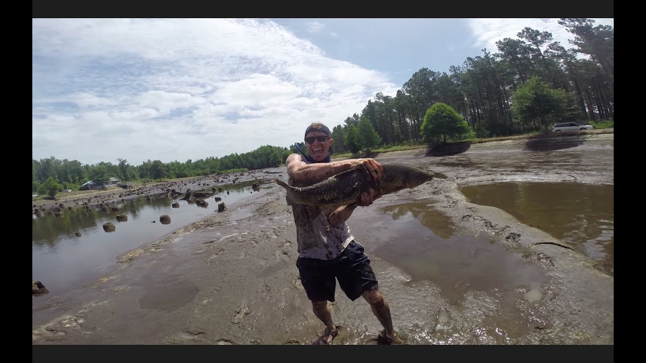 Pond Draining