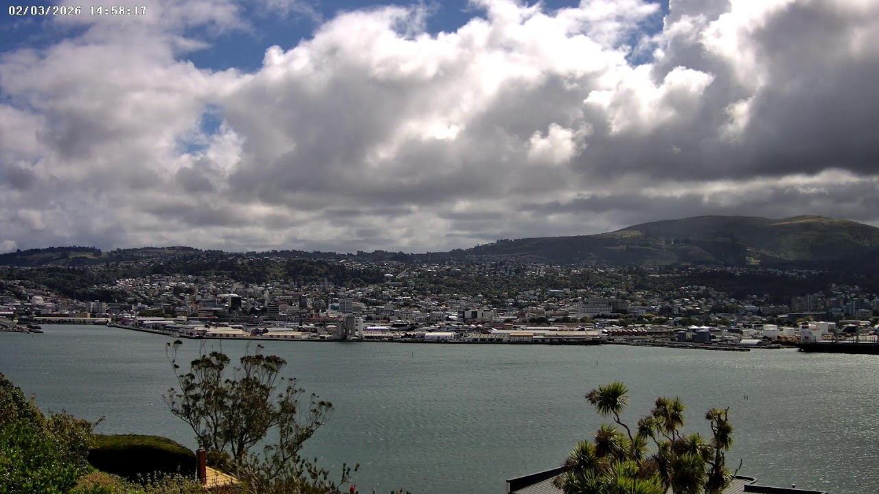 Dunedin, NZ - Live Webcam (4K): 02-03-2026 03:00 to 14:59