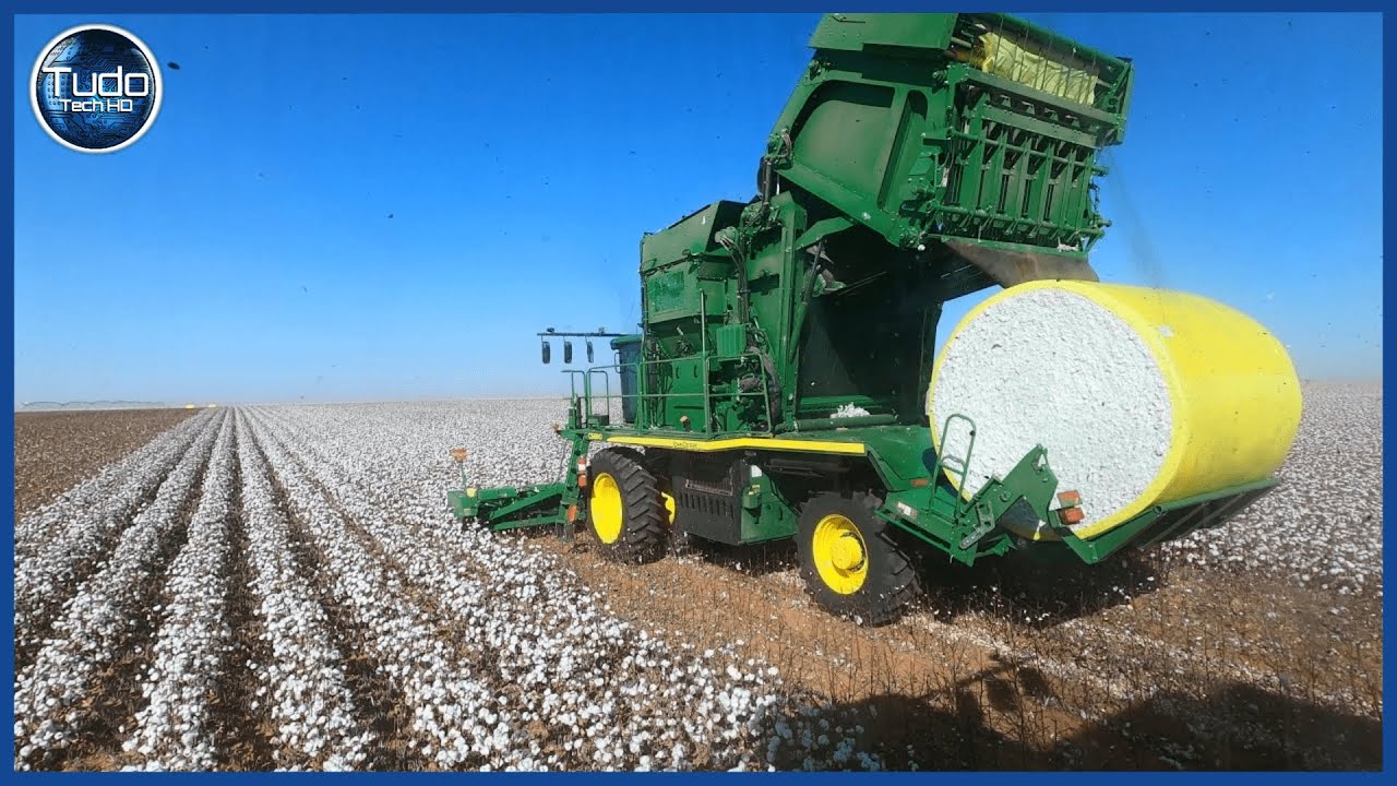 Como é feito o Cultivo do Algodão - Incríveis Máquinas Agrícolas Para Colheita e Processamento
