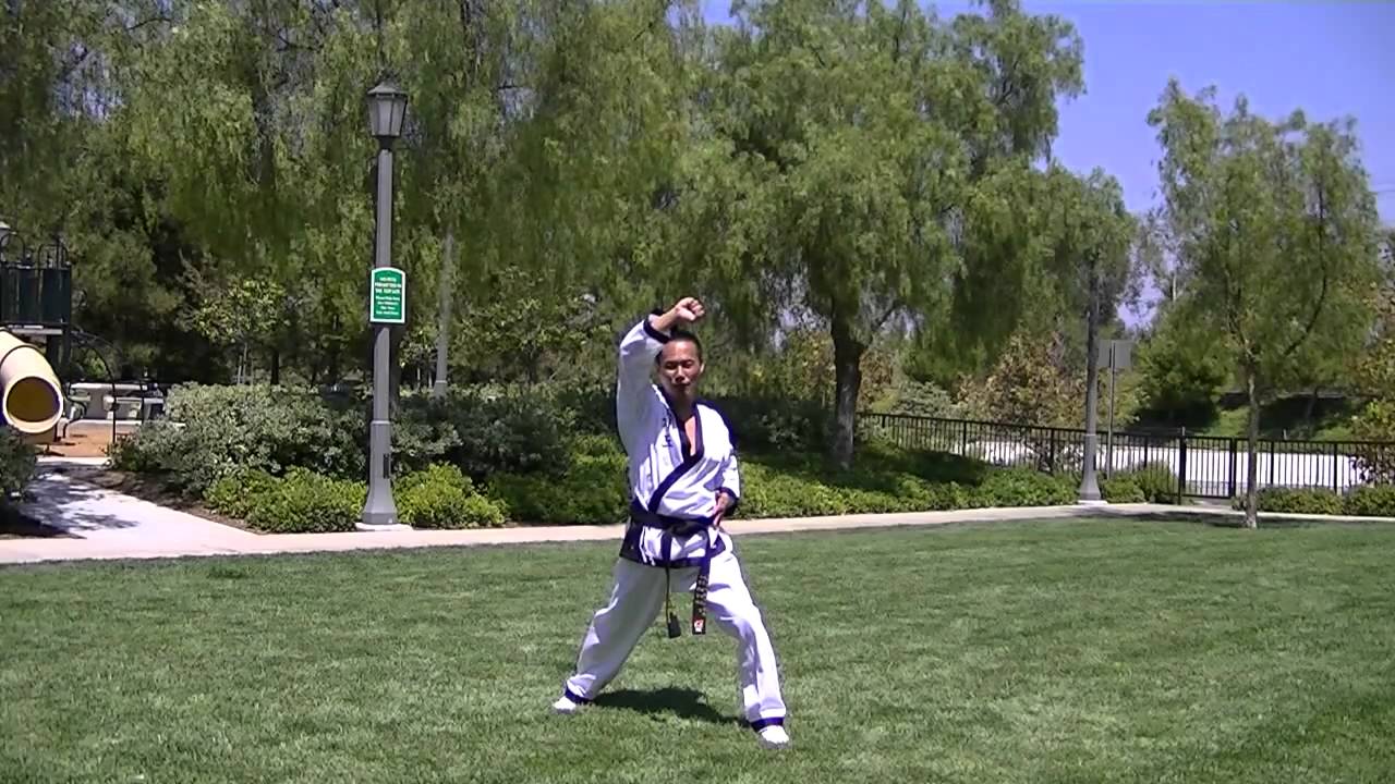 Hapkido Chun Ki Hyung Sae 합기도 천기 형세 Slow