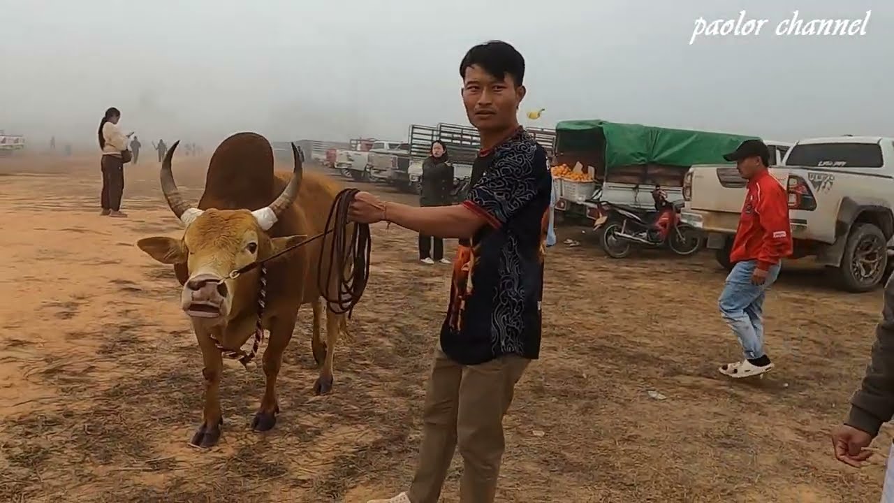 Tshav Nyuj Kham NONG Louang