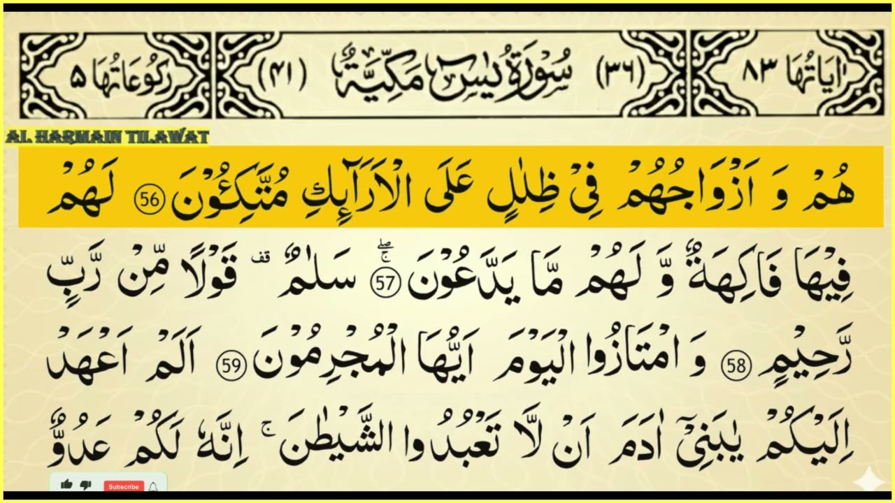 Surah Yaseen + Surah Ar Rahman | Listen Daily for Peace & Barakah | Qari Ala Aqel