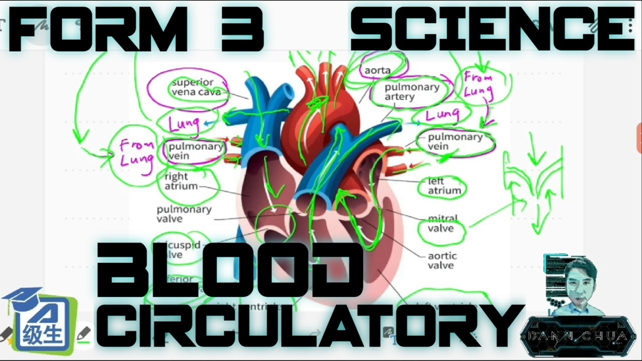 PT3 KSSM Form 3 Science [ BLOOD CIRCULATORY SYSTEM ] 华语讲解