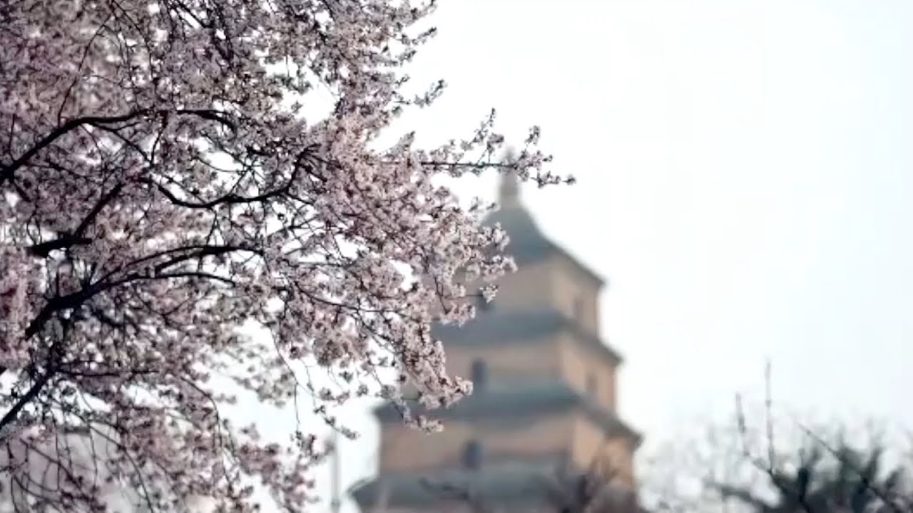 GLOBALink | Pakistani expat records unique beauty of China through camera lens
