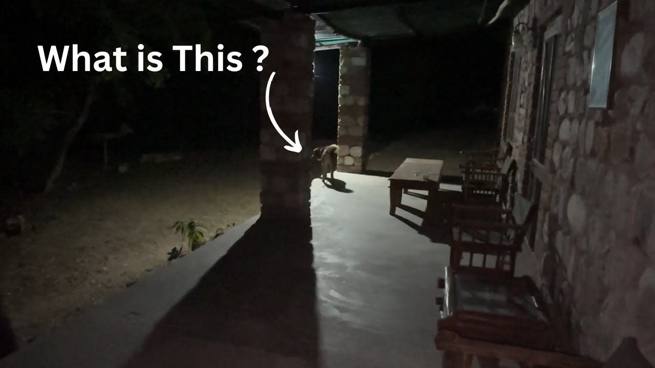 Most Wilderness Cottage in Rajaji National Park @Road Runner Star