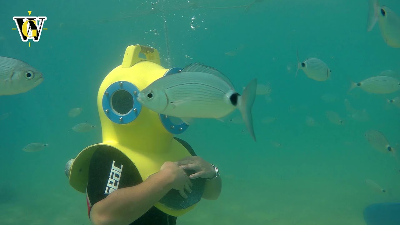 Underwater walk - Punat, Island of Krk - Zissou style :)