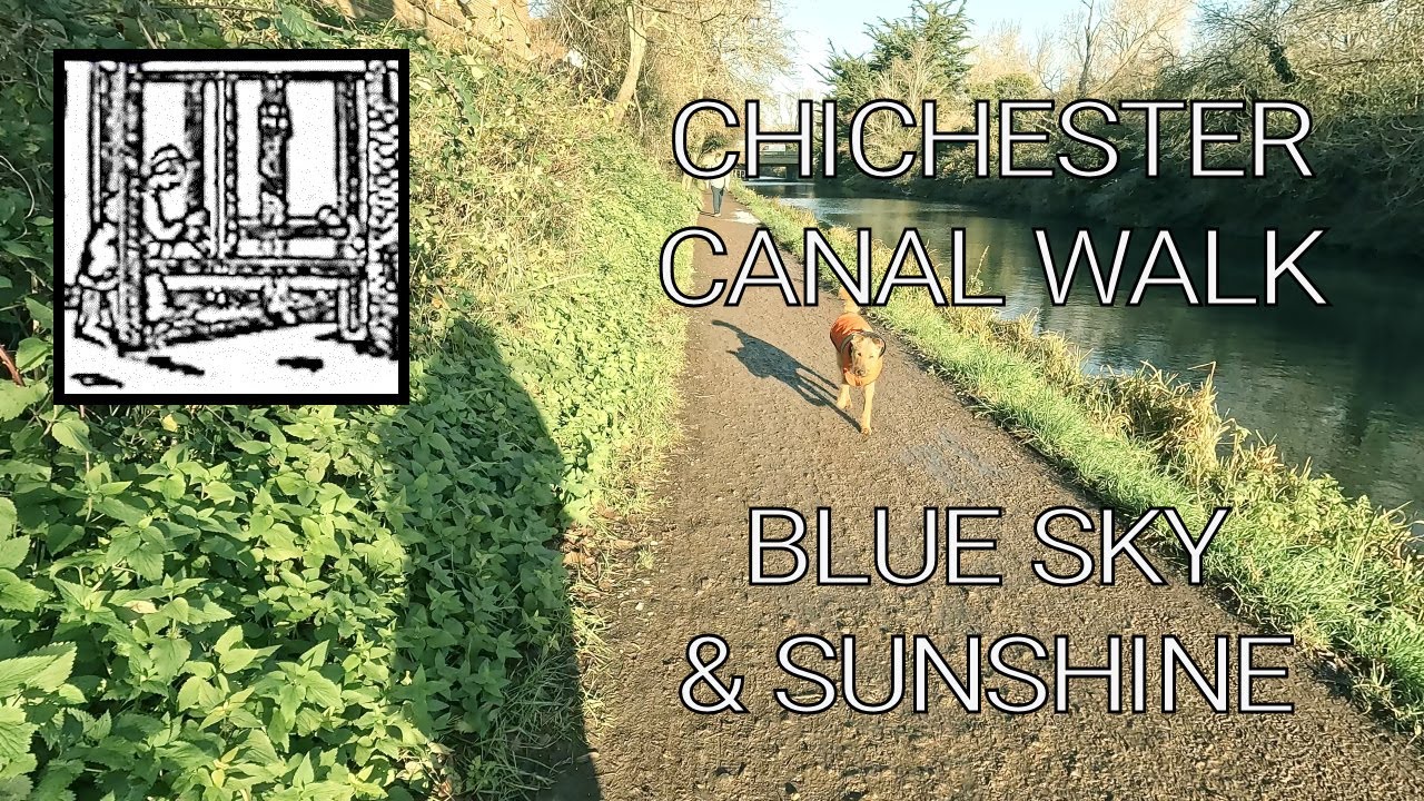 BLUE SKY & SUNSHINE -CHICHESTER CANAL #canalwalk #canalboats #dogs #naturewalk
