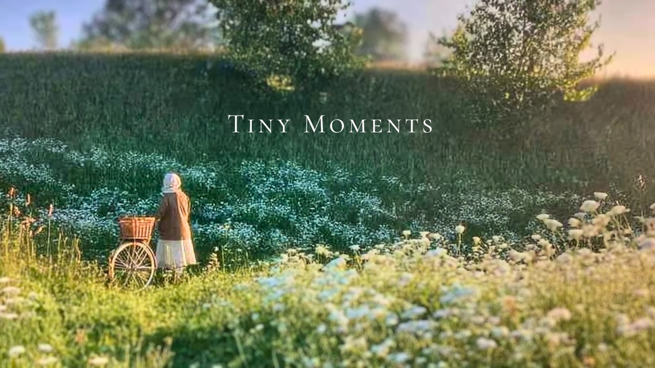 a gentle piano playlist for quiet spring days