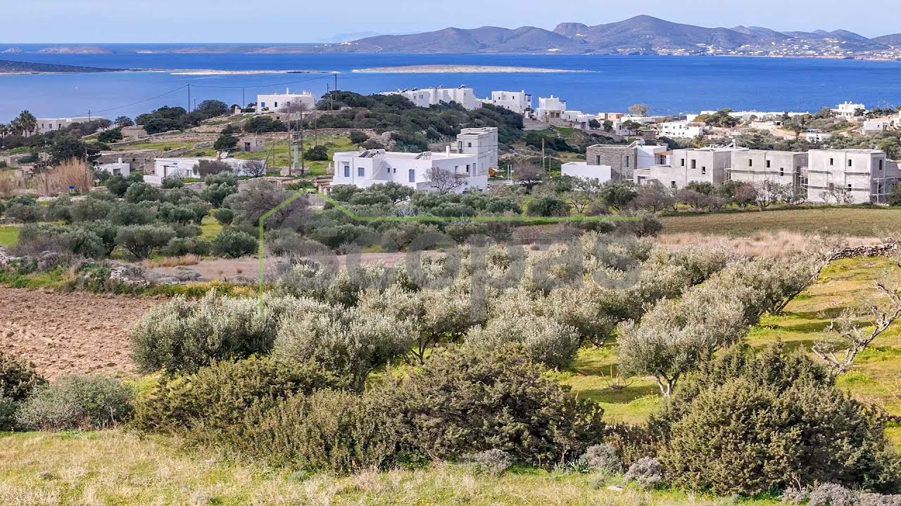 Scopas: NT202B Plot of 2.630m2 in Αpianes/Agkairia, Paros island, Greece.