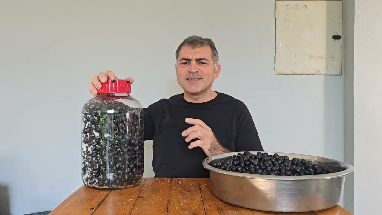 Bidonda Sele Zeytini Nasıl Yapılır?