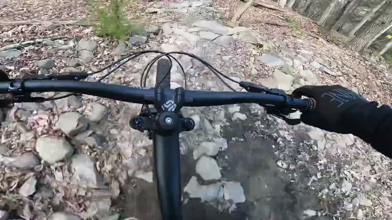 First Rides On The YT Capra Core 1