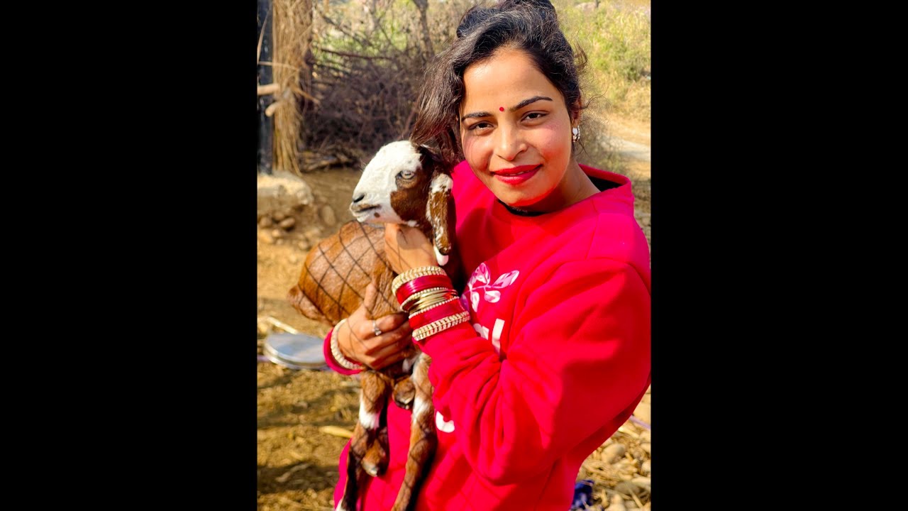 😍ਨਾ ਰਿਕਾਰਡਿੰਗ, ਨਾ ਫਿਲਟਰ – ਸਿਰਫ਼ ਲਾਈਵ🎧🥰#livesinging #song#singerlife#hindisong #punjabisinger#live
