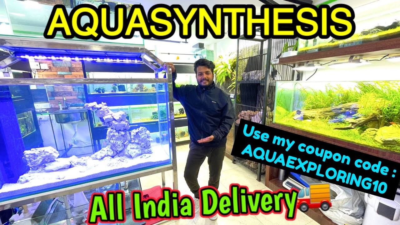 Aquasynthesis Guwahati 🔥😘All India Delivery🚚| Use my coupon to get extra discount | Aquarium Shop