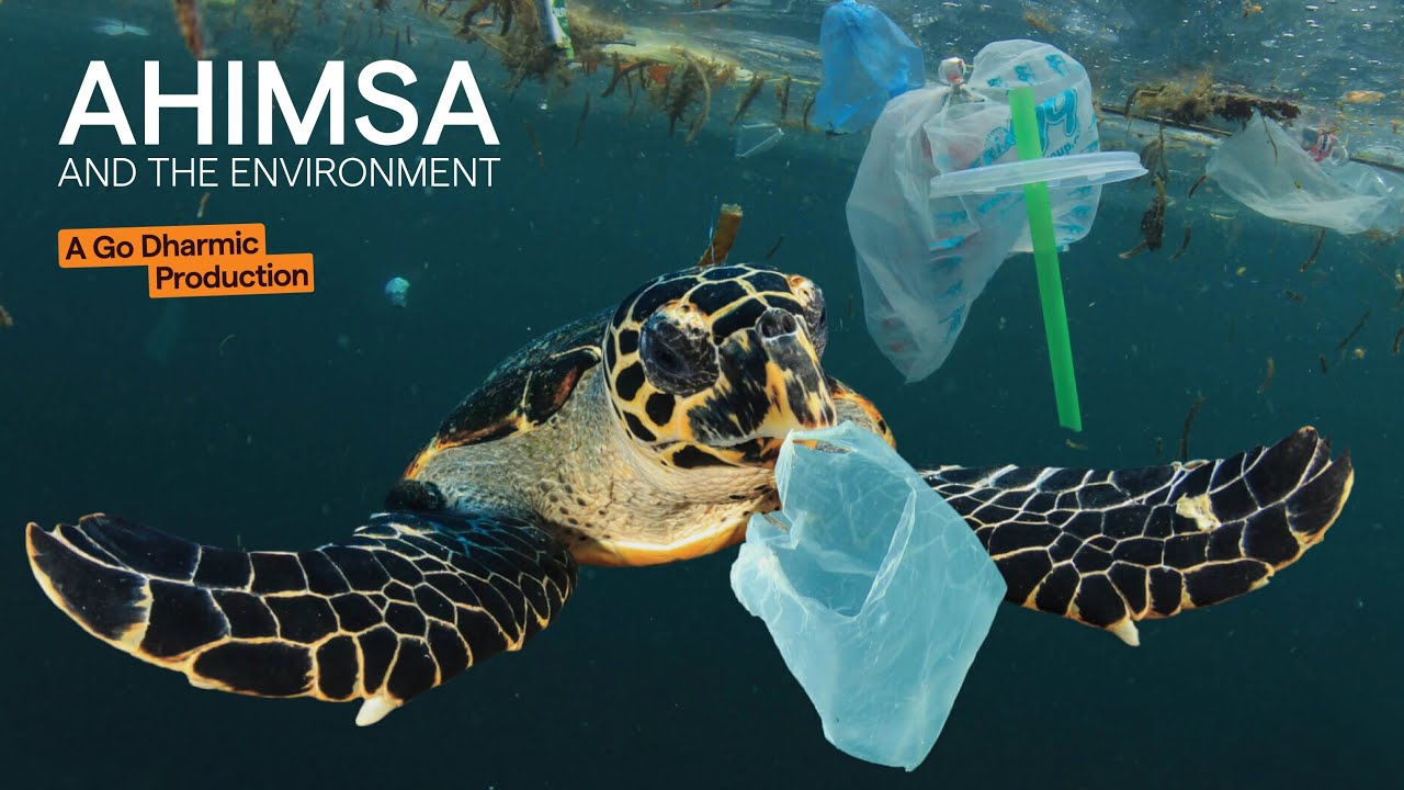 Ahimsa and Environment | Making Peace With Nature