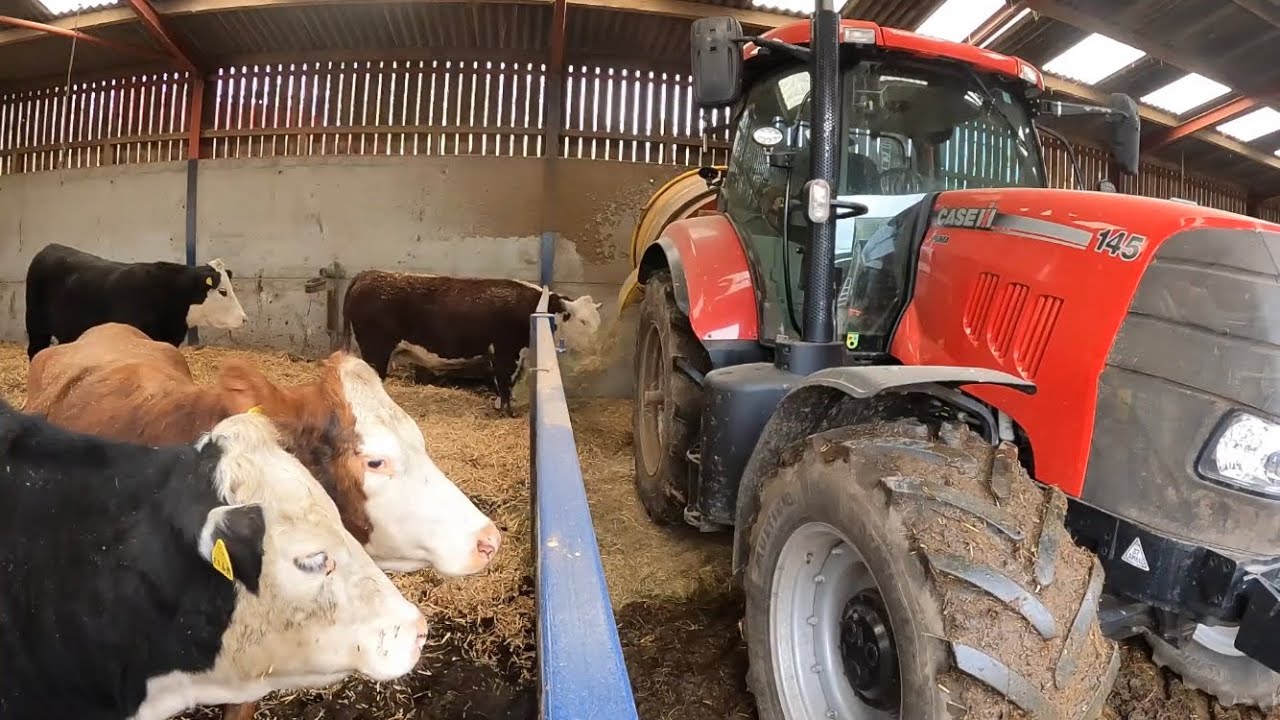 Feeding & Bedding Cattle - Teagle 5050