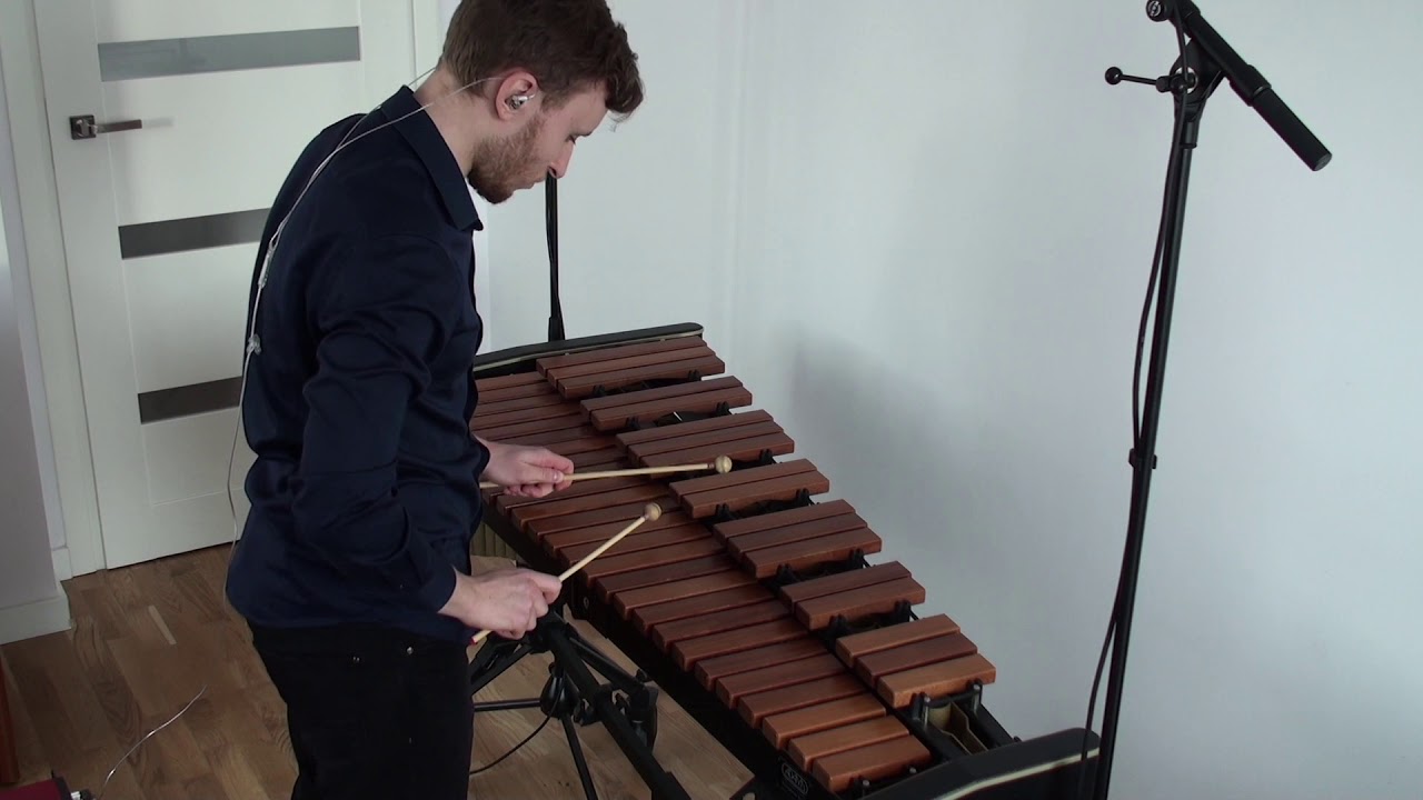 Xylophone orchestral excerpt-  Igor Stravinsky -Fire Bird