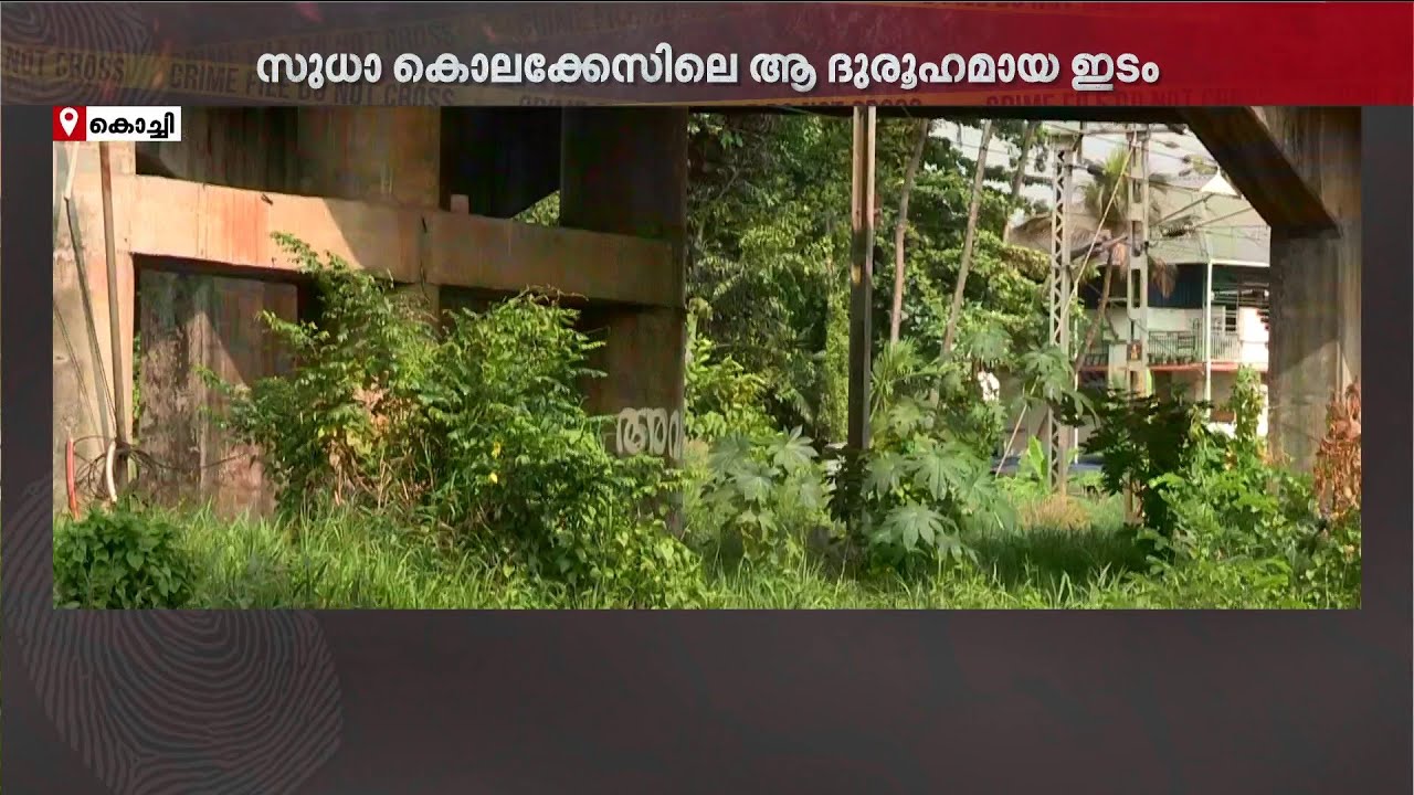 'ഇവിടെ ആരെയെങ്കിലും കൊന്നിട്ടാൽ പോലും അറിയില്ല'; ജനത്തിരക്കേറിയ ഇടത്ത് ലഹരിക്കൂട്ടങ്ങളുടെ